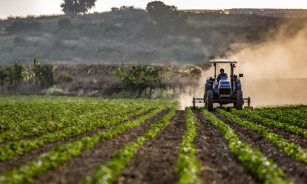 Lucania Fine Foods: valorizzare il Made in Basilicata con un occhio al futuro