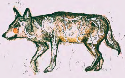 Il desiderio di essere lupo e la paura di conoscerlo