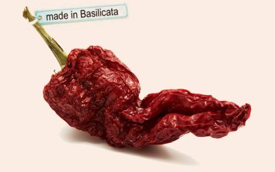 Il cibo lucano vive tra due mondi: radici profonde e mercati globali sempre più esigenti