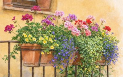Armonia in fiore