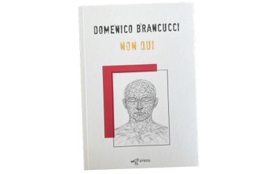 Noi qui