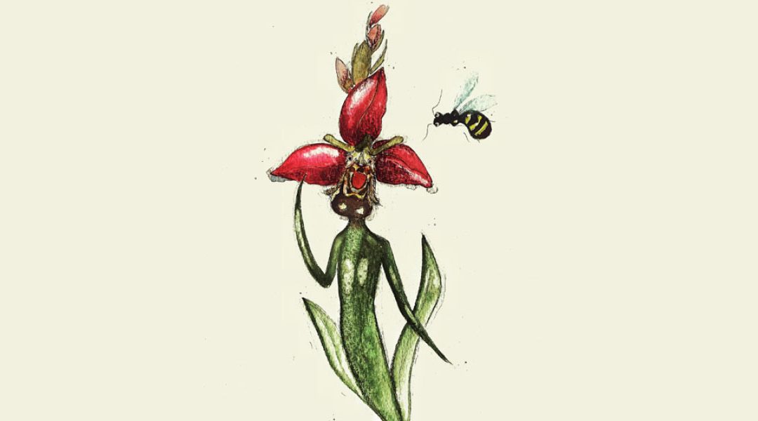 Il genio dell’orchidea travestita da ape