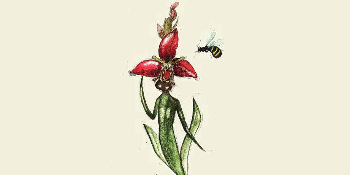imgm8a