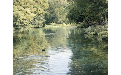 Rallentare l’acqua per far rinascere la vita